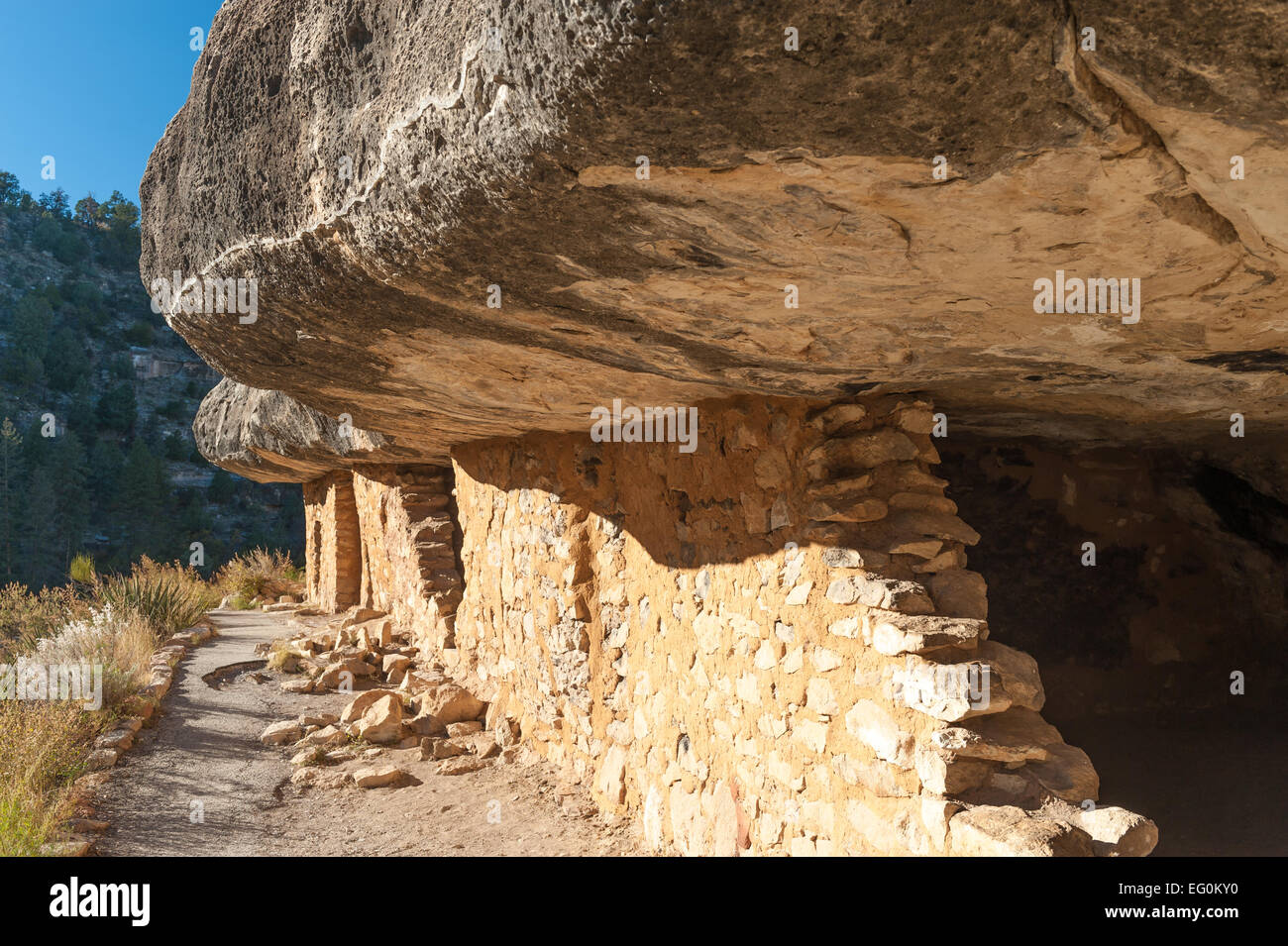 USA, Arizona, Walnut Canyon cliff dwellings Stock Photo Alamy
