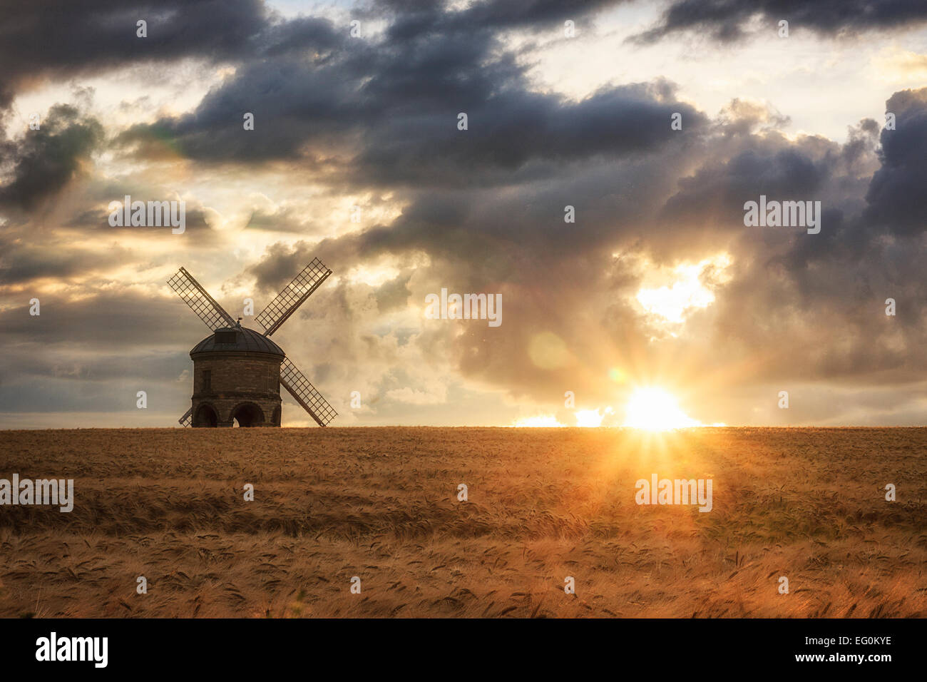 Windmill in a barley field, Chesterton, Warwickshire, England, UK Stock Photo