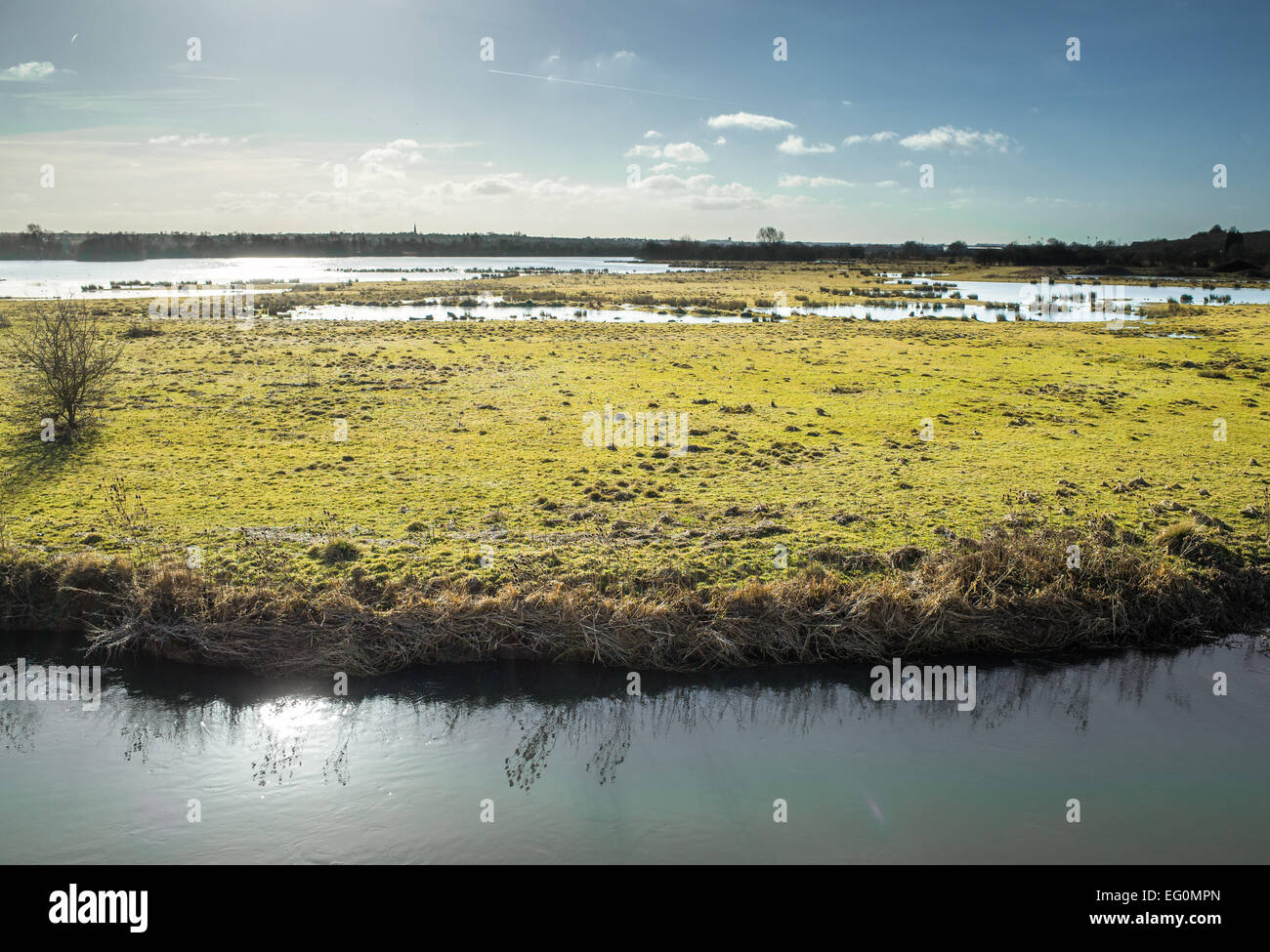 Marshland Stock Photo