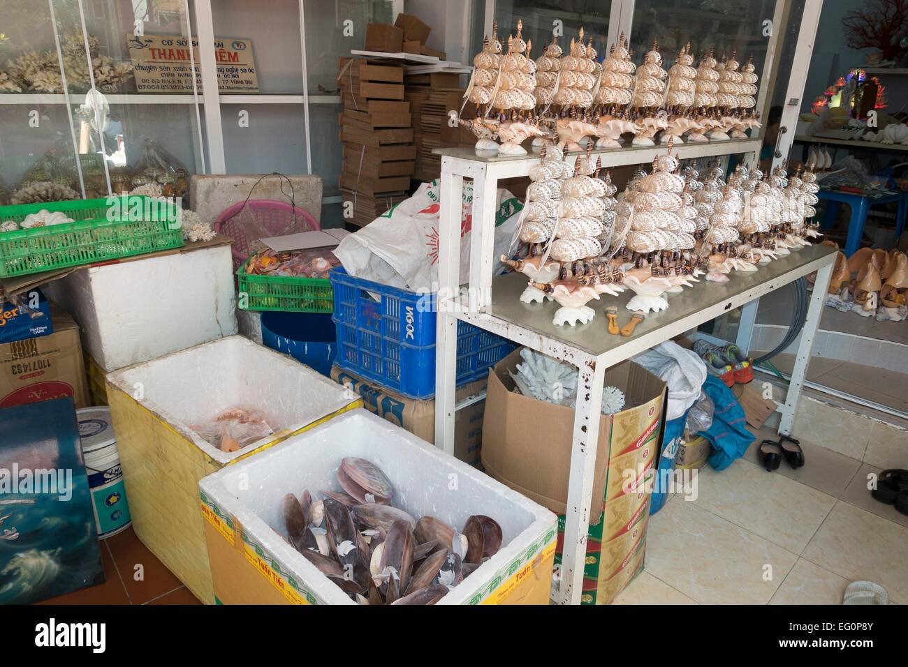 Factory for the manufacture of jewelery and decoration of partially protected species of coral, coral ready for the Sent in polystyrene boxes, Vung Tao, Vietnam, Asia Stock Photo