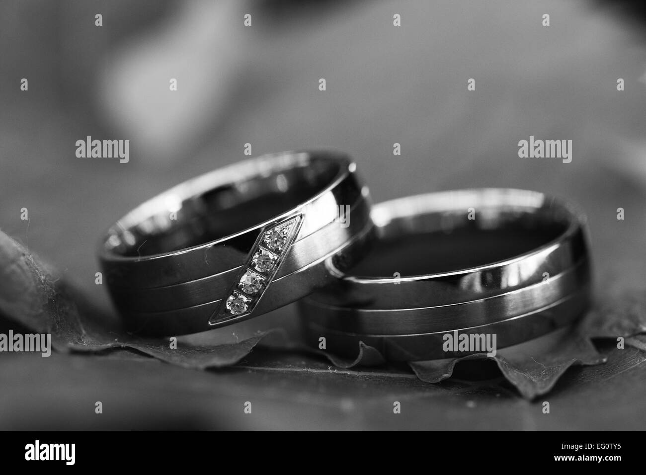 still life with wedding rings Stock Photo