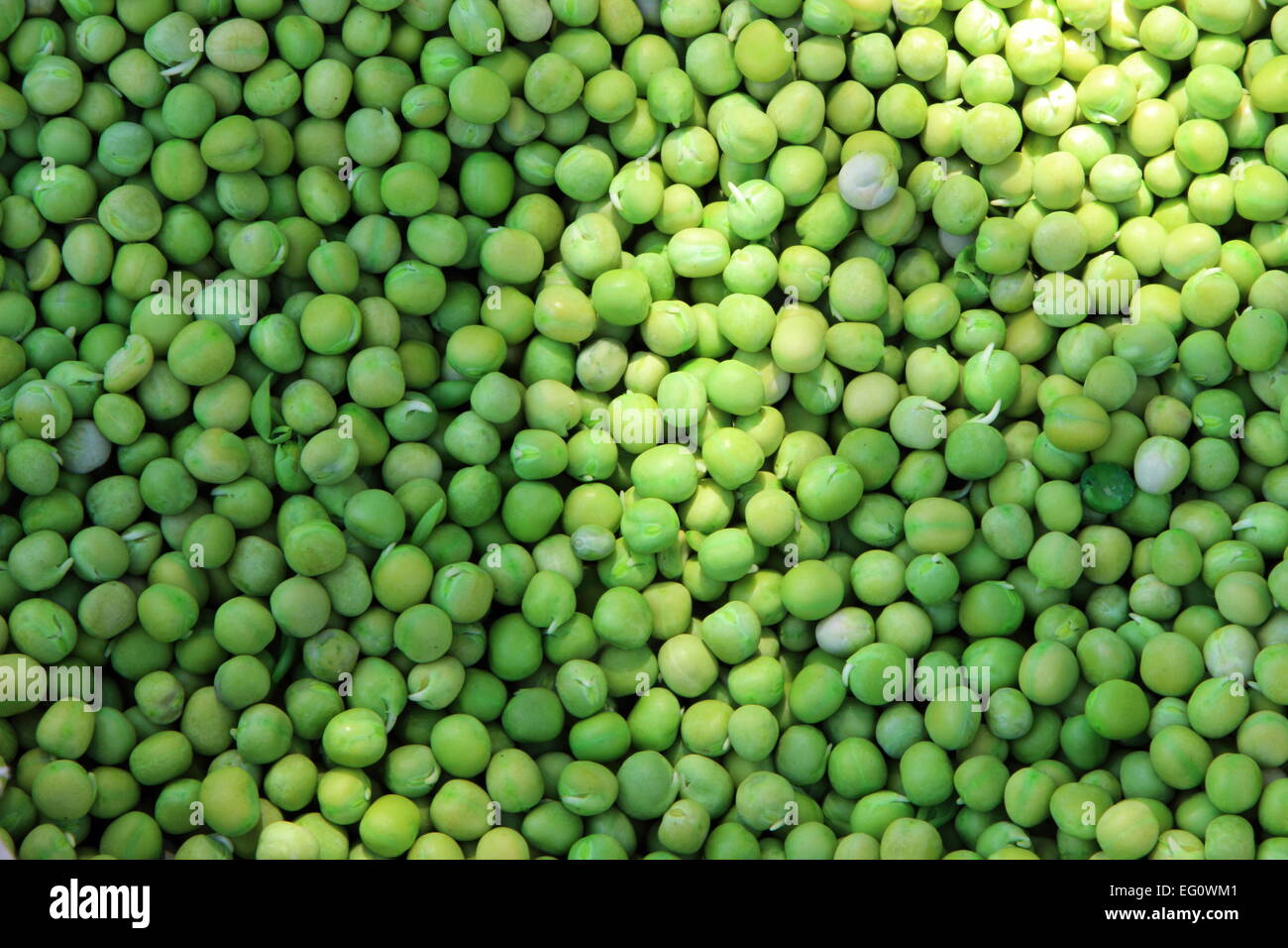 India green pea hires stock photography and images Alamy