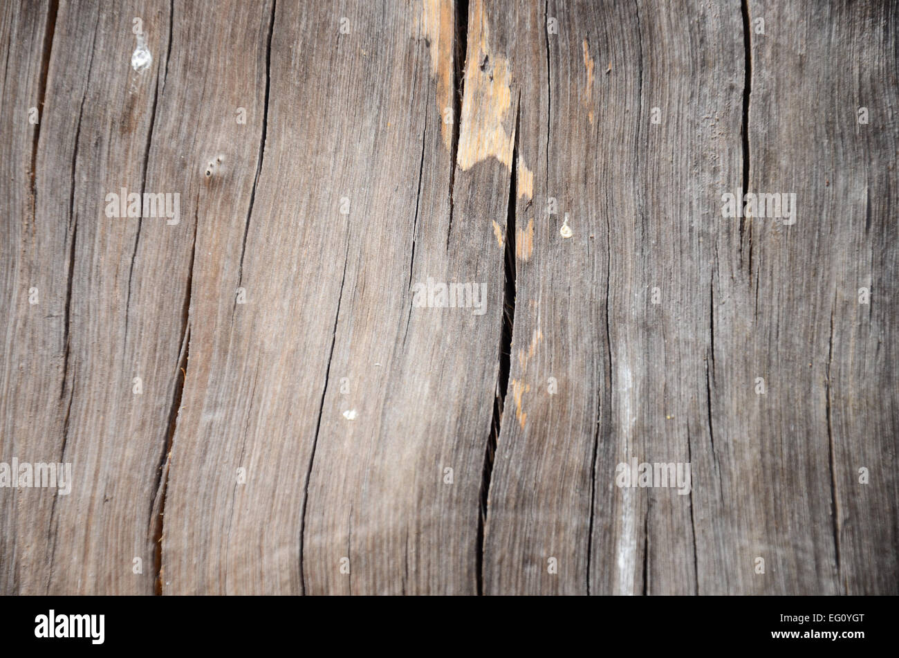 Knot wood Background Stock Photo - Alamy