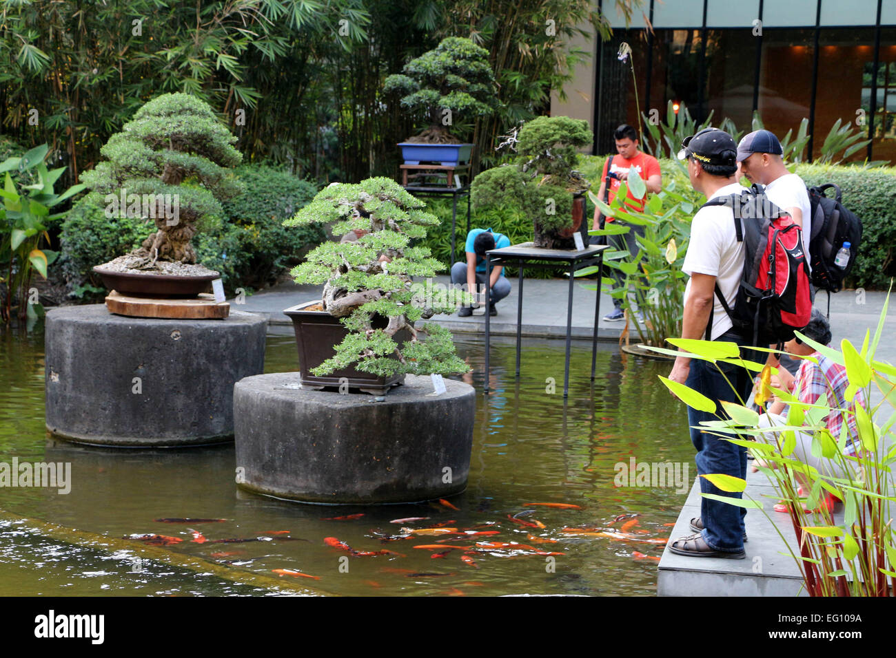 A Bonsai plant was setup by Philippine Bonsai Society (PBSI) beside of