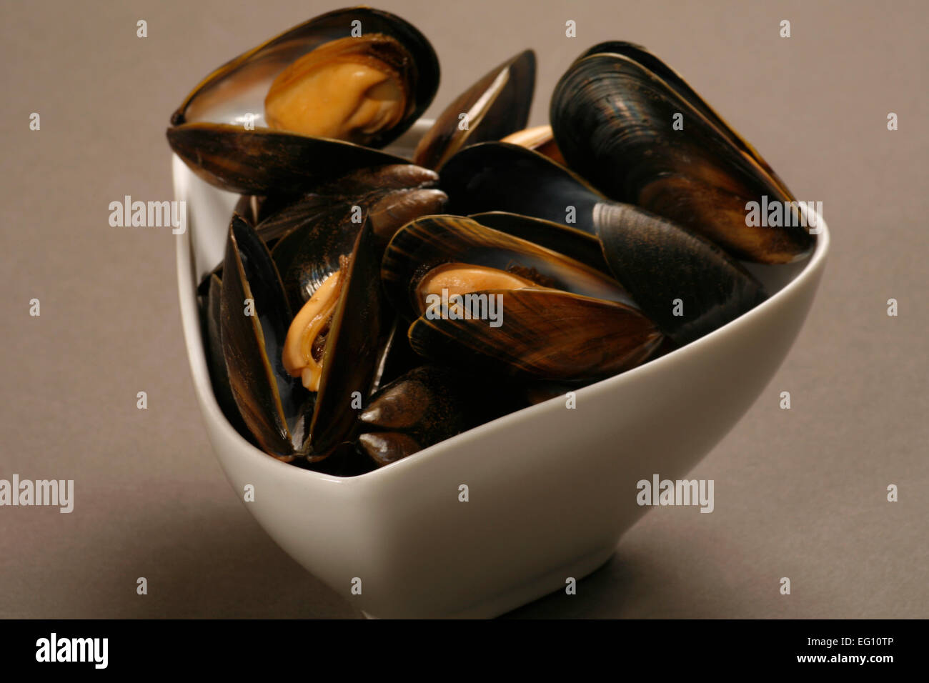 Mussels Stock Photo