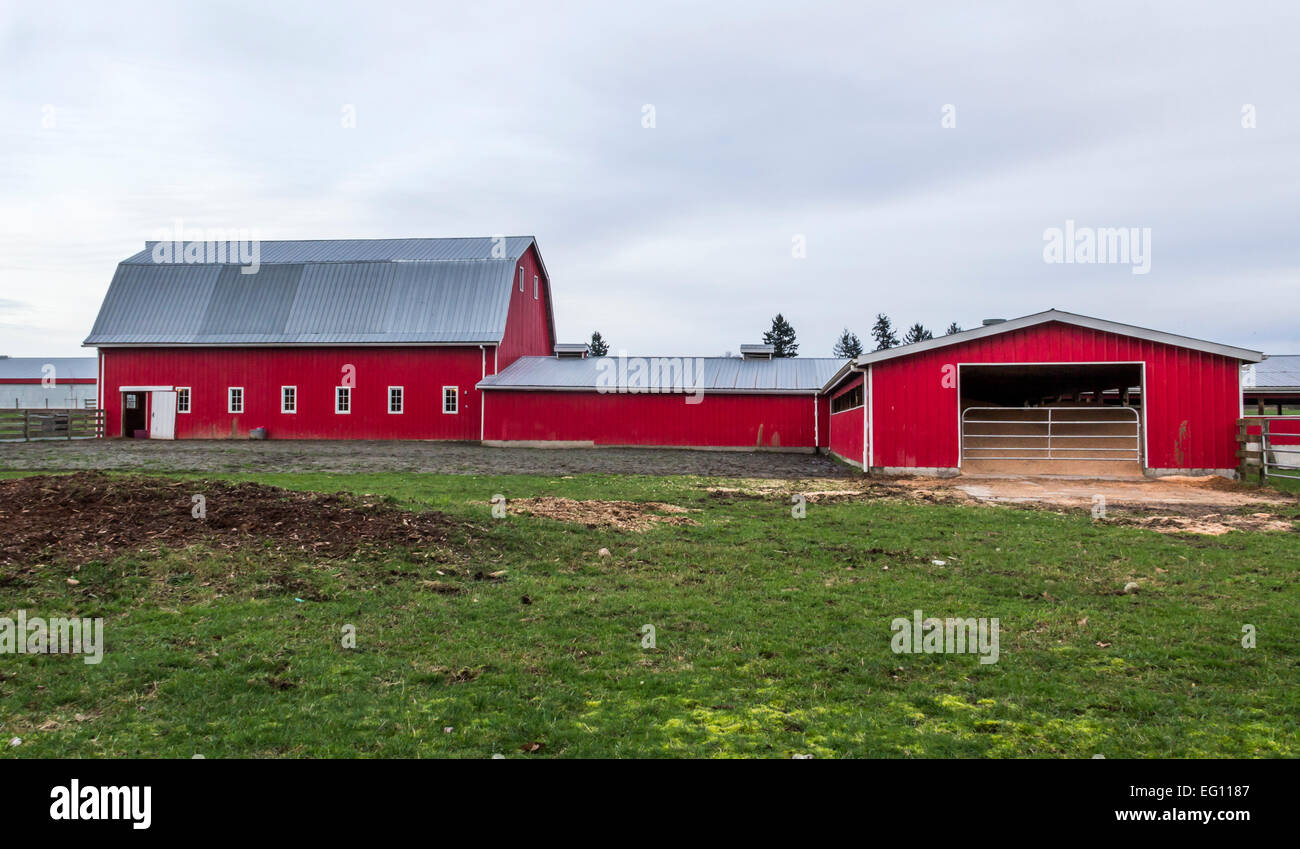 Red Barn and farm buildings on a dairy farm in rural Canada Stock Photo