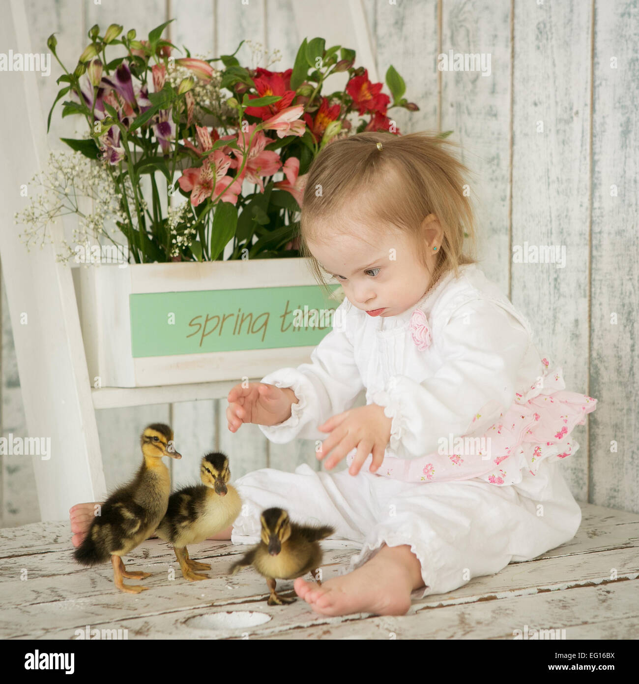 Portrait of a girl with Down syndrome with ducklings Stock Photo