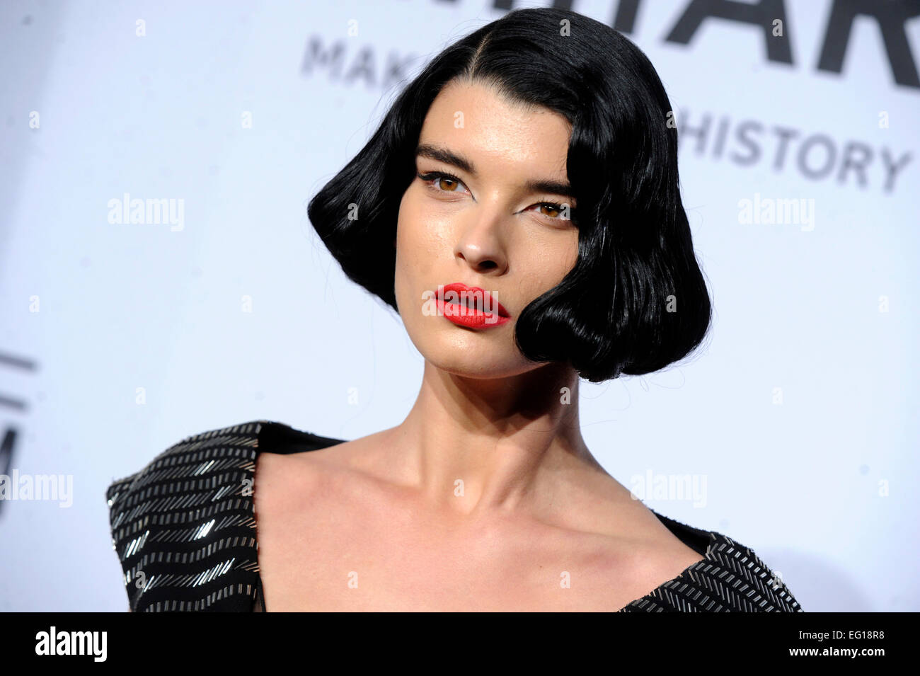 Crystal Renn attending the 2015 amfAR New York Gala at Cipriani Wall Street on February 11, 2015 in New York City/picture alliance Stock Photo