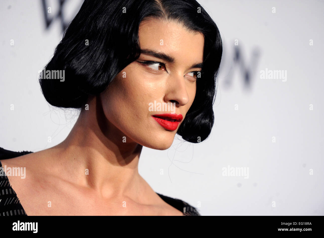 Crystal Renn attending the 2015 amfAR New York Gala at Cipriani Wall Street on February 11, 2015 in New York City/picture alliance Stock Photo
