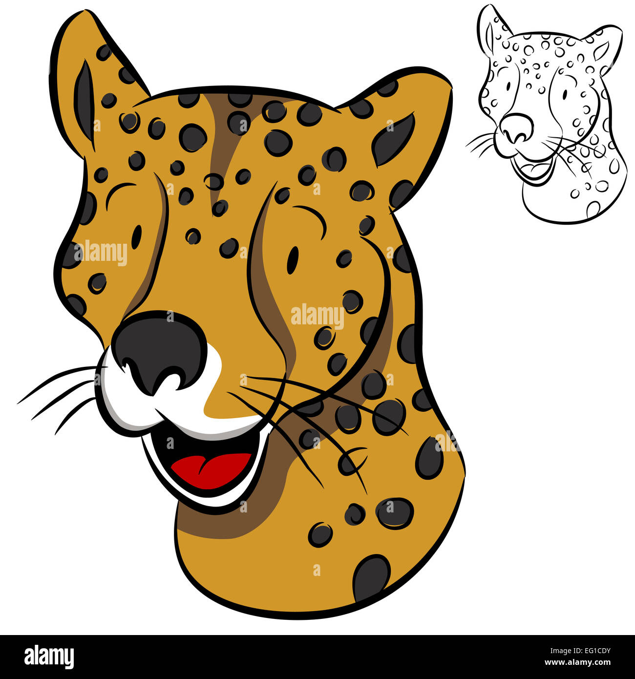Cheetah smiling Cut Out Stock Images & Pictures - Alamy