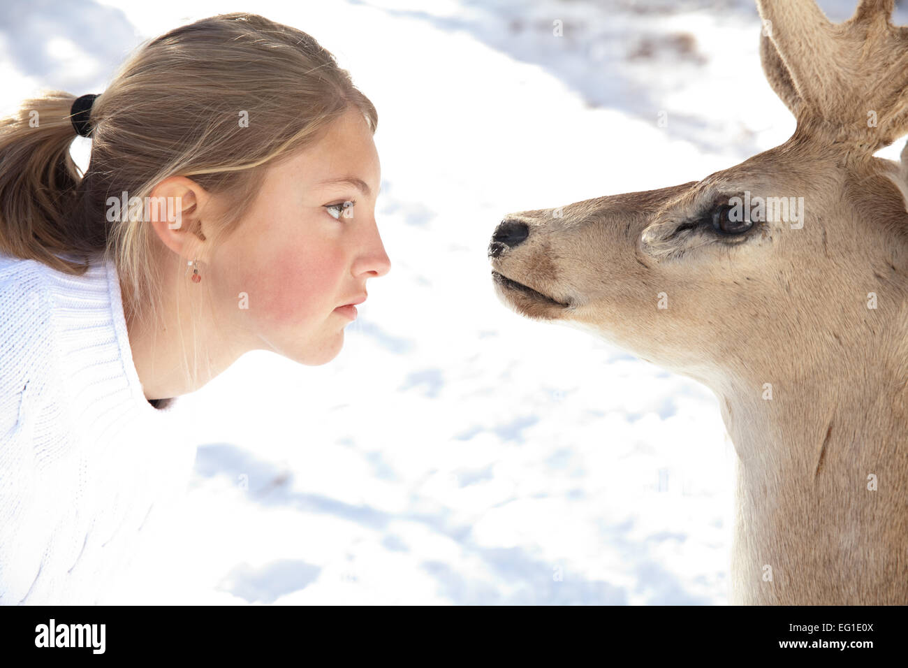 Girl and deer, face to face in snow. Stock Photo