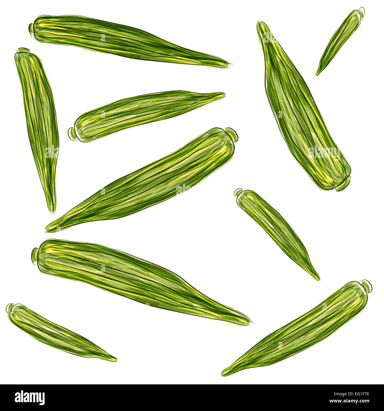 An image of a okra watercolor art Stock Photo Alamy