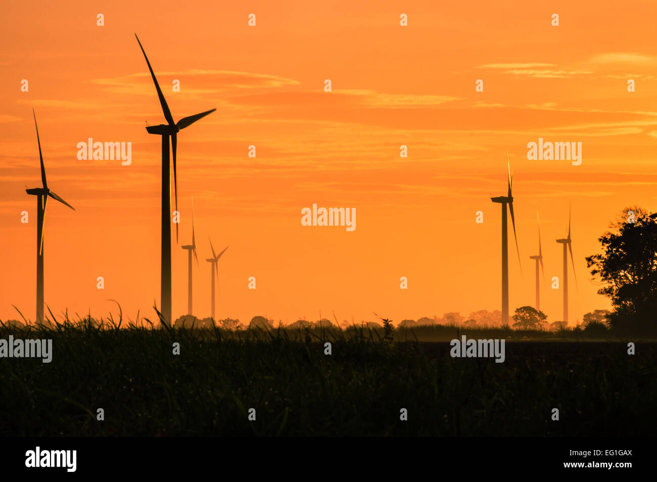 Wind turbines at sunrise Stock Photo - Alamy