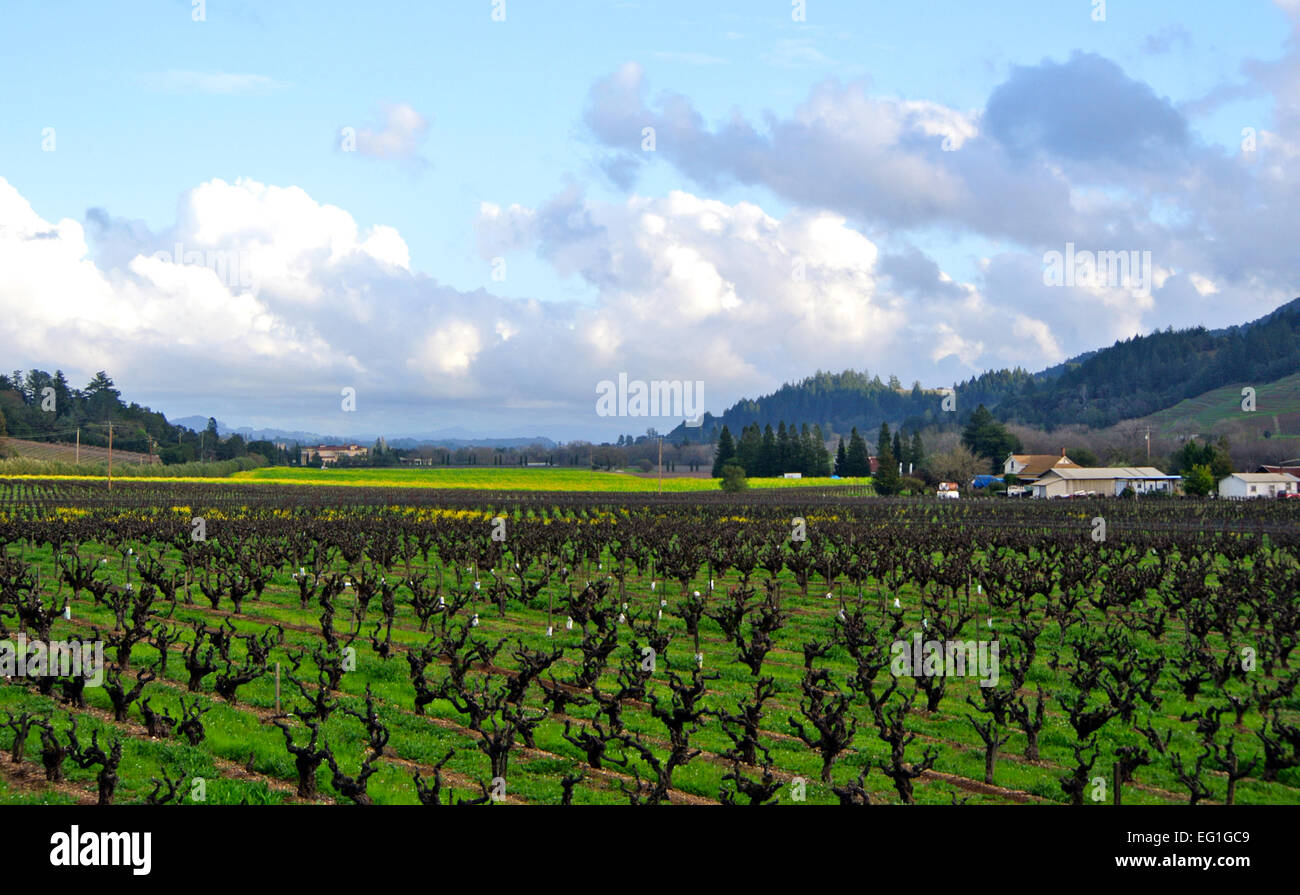 Alexander valley hires stock photography and images Alamy
