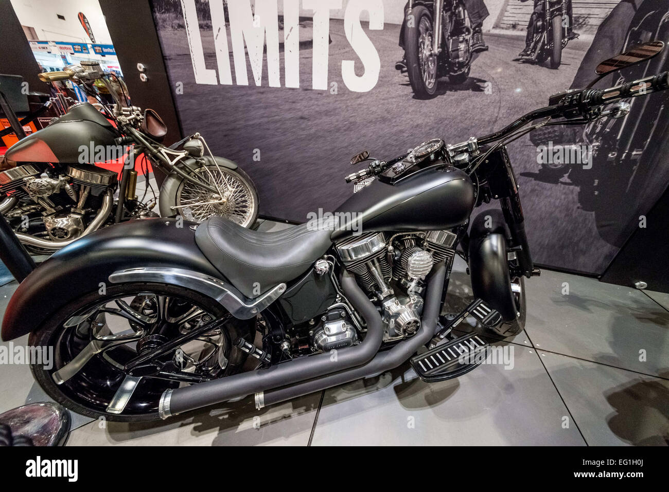 Feb. 13, 2015 - Legendary Harley-Davidson presented motorbikes at ...