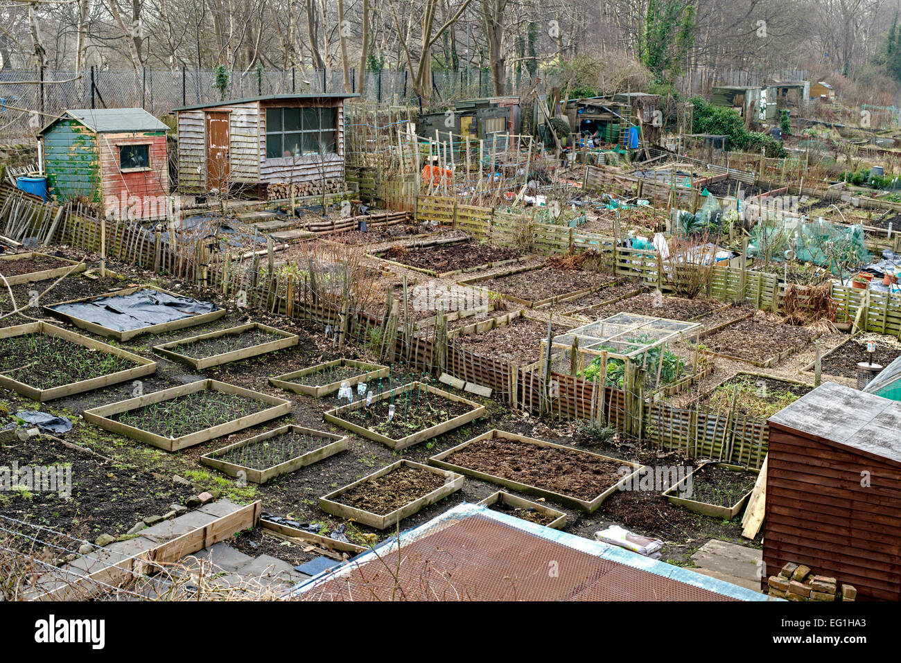 Allotments Stock Photos & Allotments Stock Images Alamy