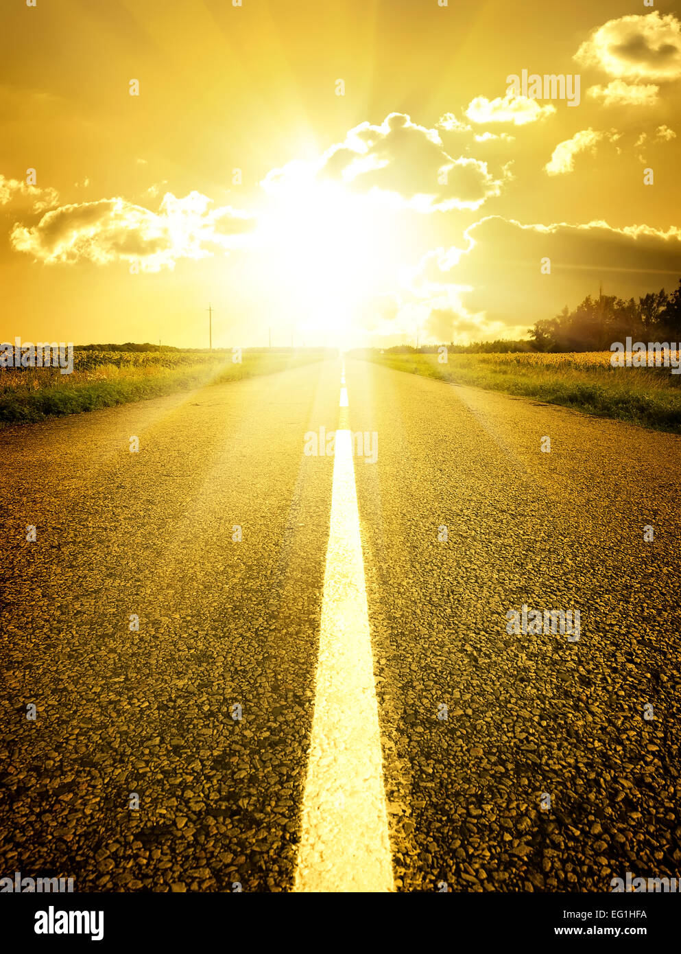 Asphalted road to the bright yellow sun Stock Photo