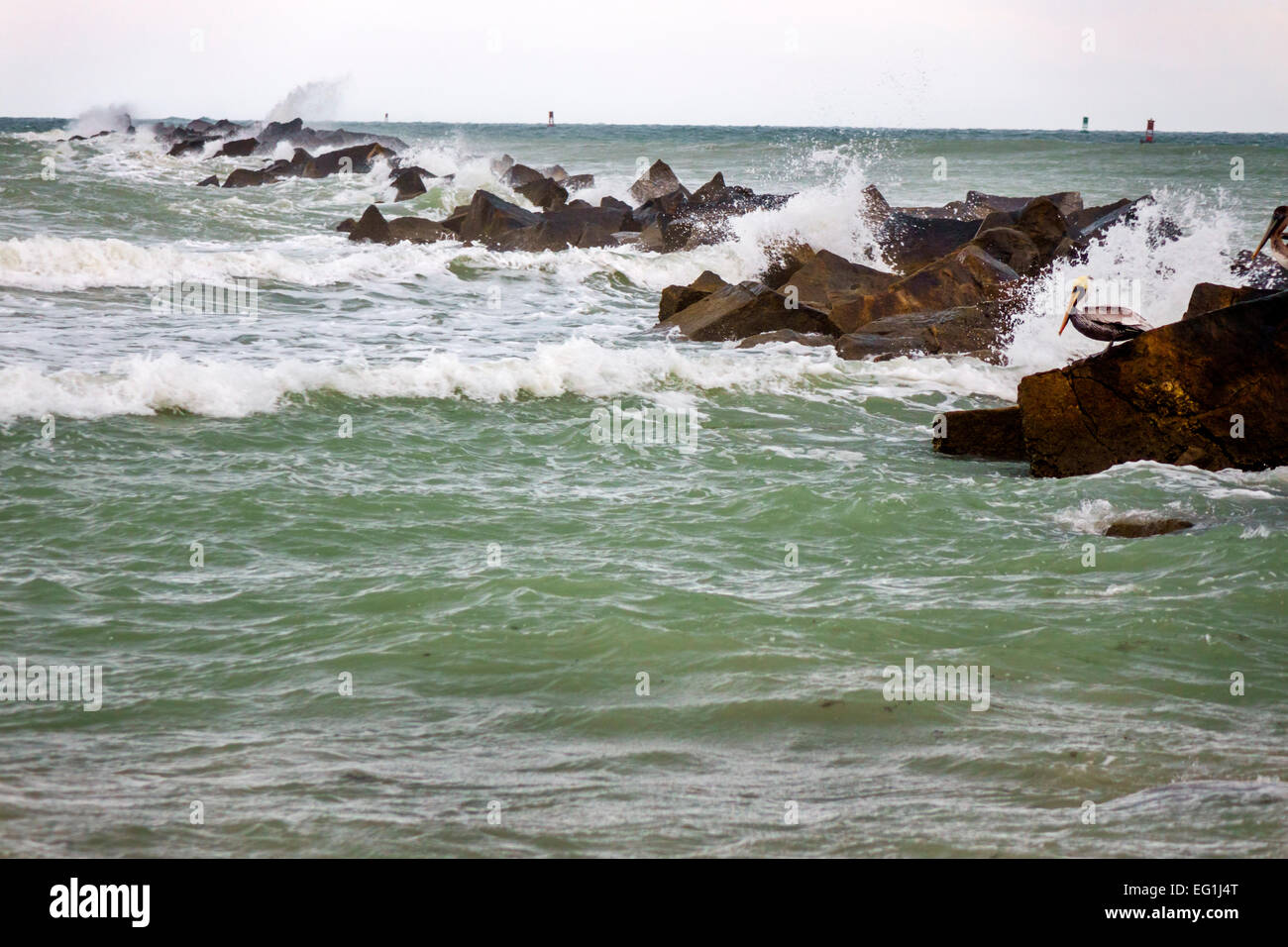 Ft Pierce Inlet State Park High Resolution Stock Photography and Images