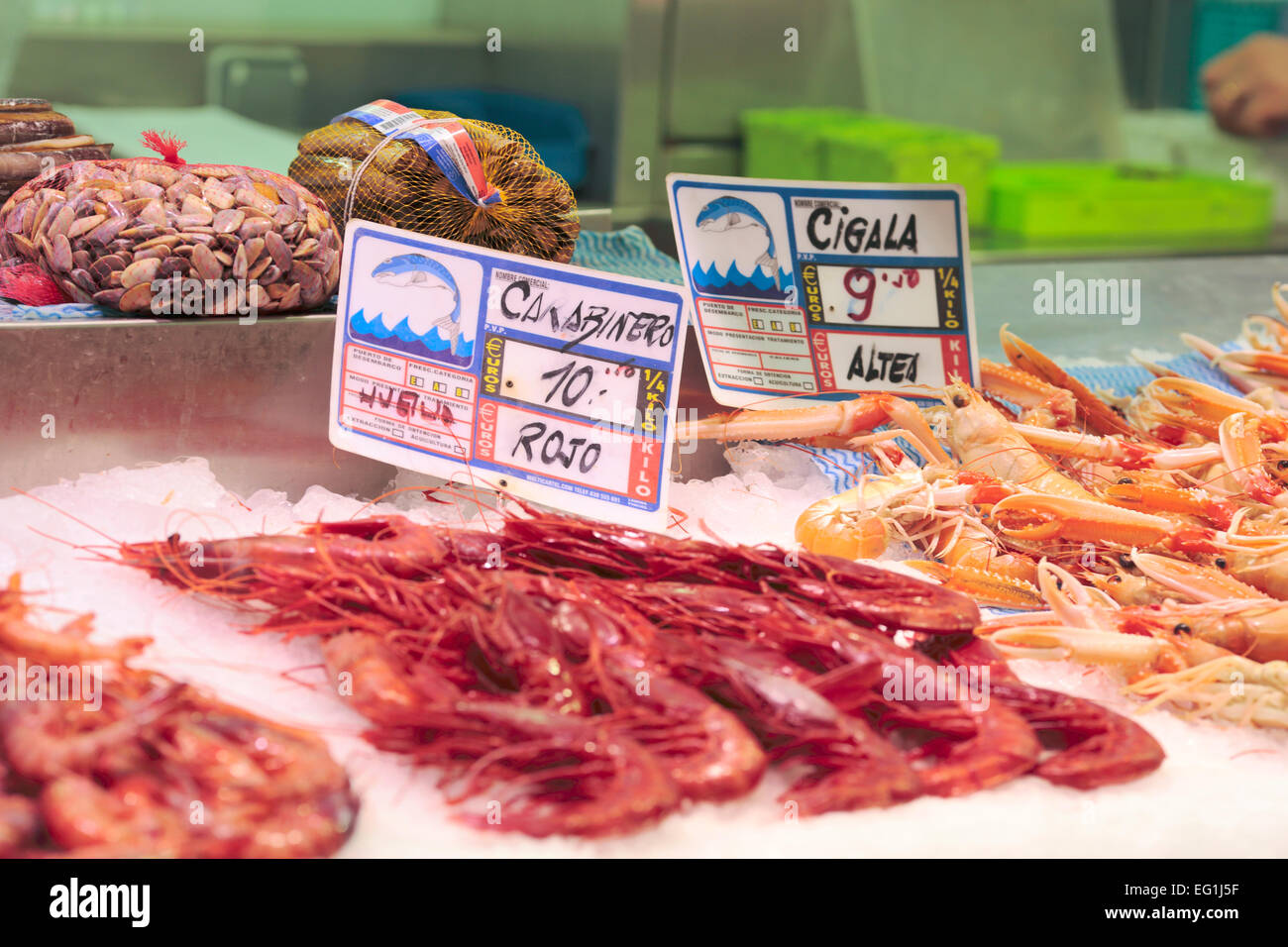 Seafood, Central Market (Mercado Central), Valencia, Valencian Community, Spain Stock Photo