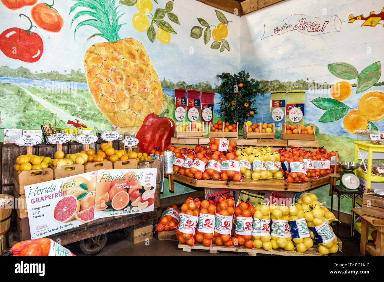 Florida, FL, South, Wabasso, Hale Groves River Market Retail Grocery