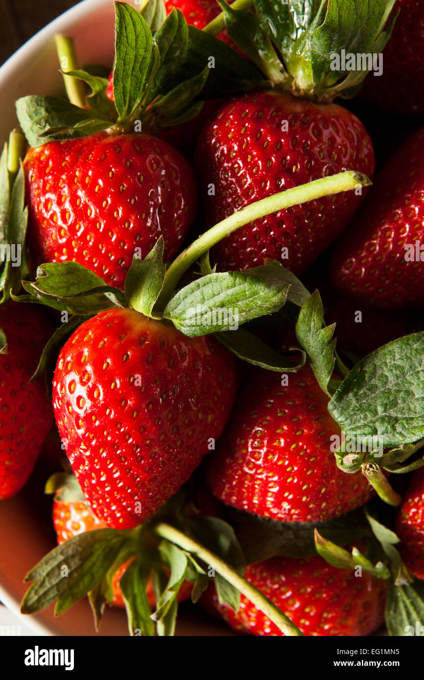 Raw Organic Long Stem Strawberries in a Bowl Stock Photo Alamy