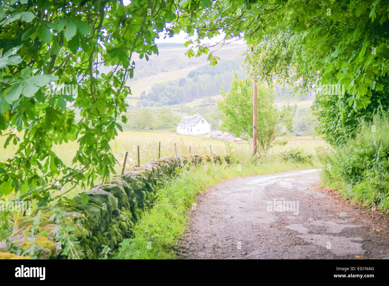 Scottish countryside . Road of Perthshire . Stock Photo
