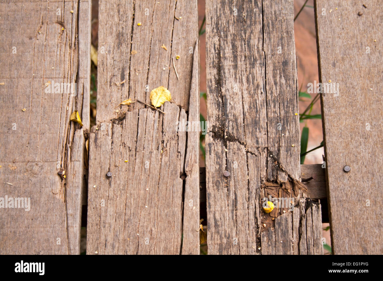 Wood steps at Wat Phu Tok in Udon Thani county, Thailand - Stock Image