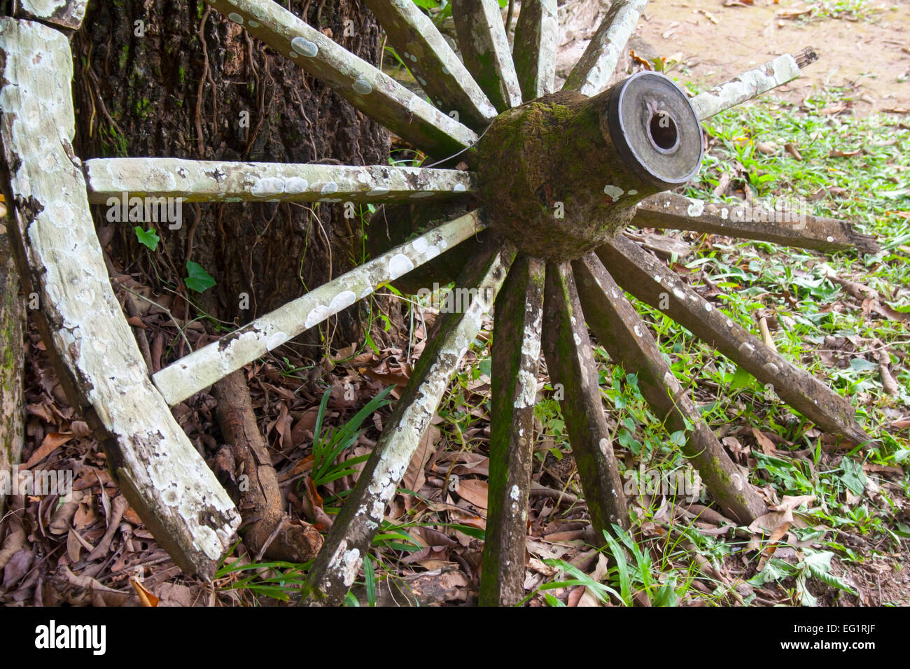 Wheel at  Buddha Park Laos SE Asia - Stock Image