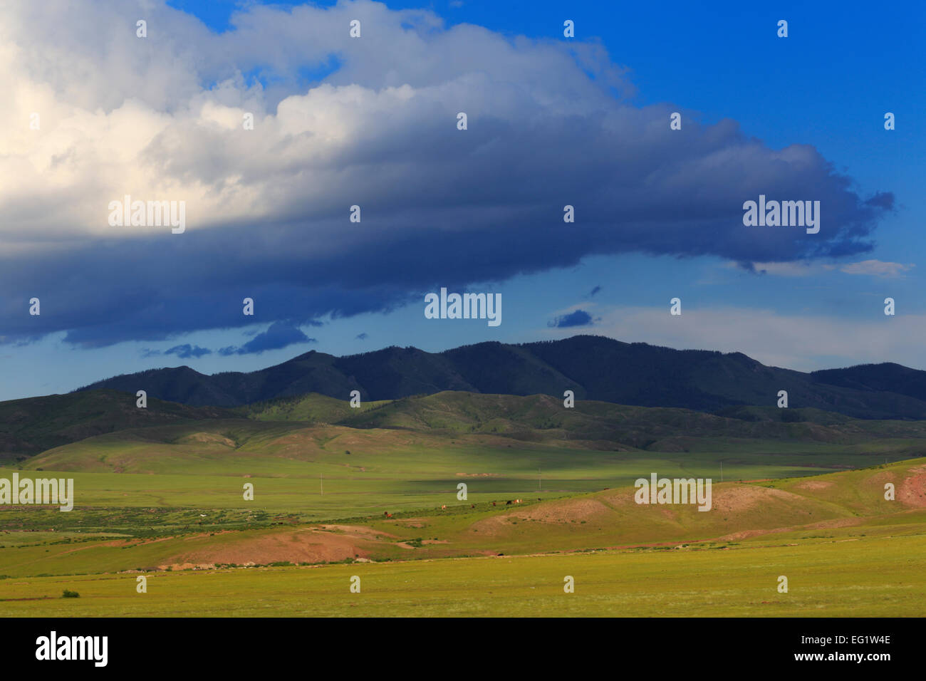 Landscape near Bulgan, Mongolia Stock Photo - Alamy