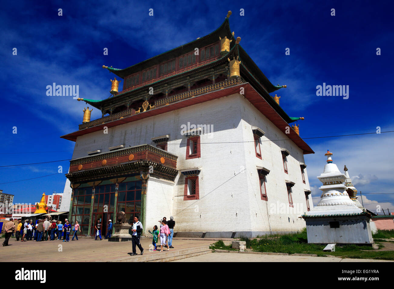 Mast semiz ayolni aylanib otishdi