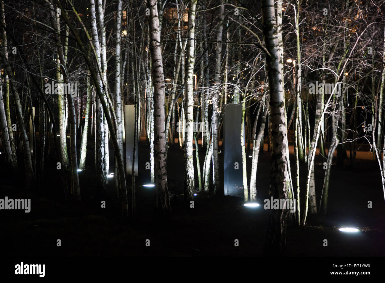 Night Birches campestre.al.gov.br