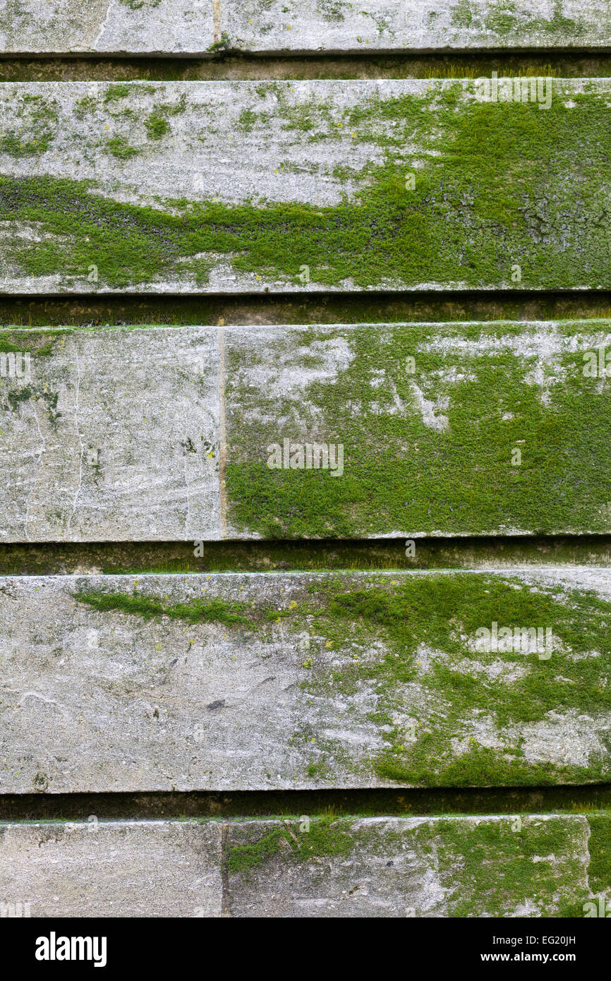 Moss covered fence Stock Photo Alamy