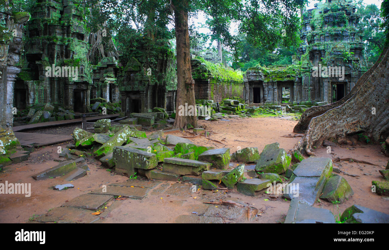 Ta Prohm temple (Rajavihara) (1186), Angkor, Cambodia Stock Photo