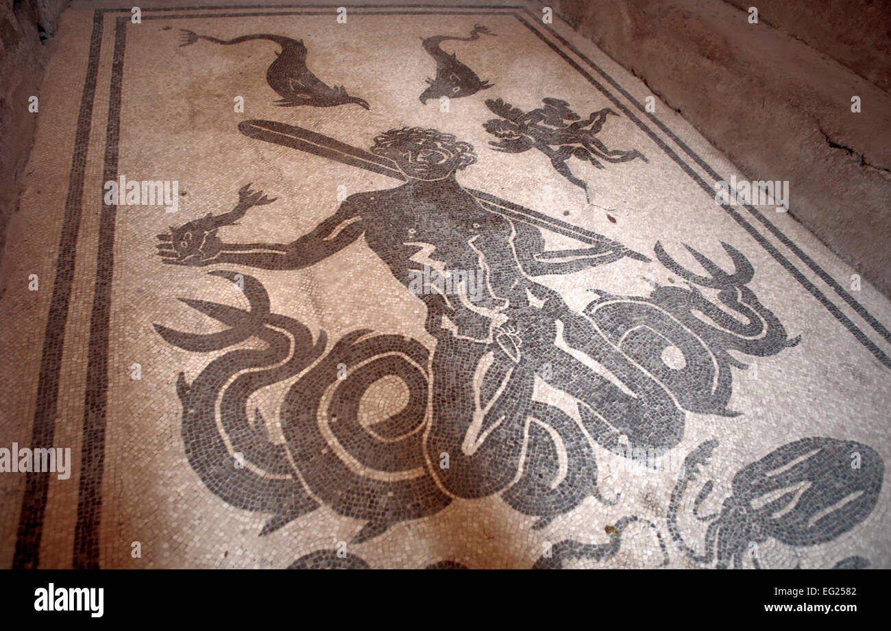 Mosaic floor in bath, Herculaneum, Ercolano, Campania, Italy Stock Photo