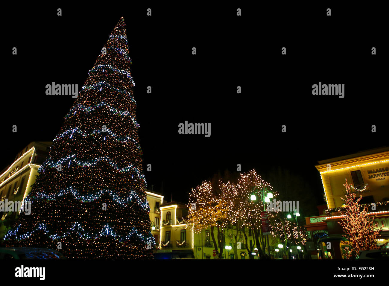 Christmas tree main tree hi-res stock photography and images - Alamy