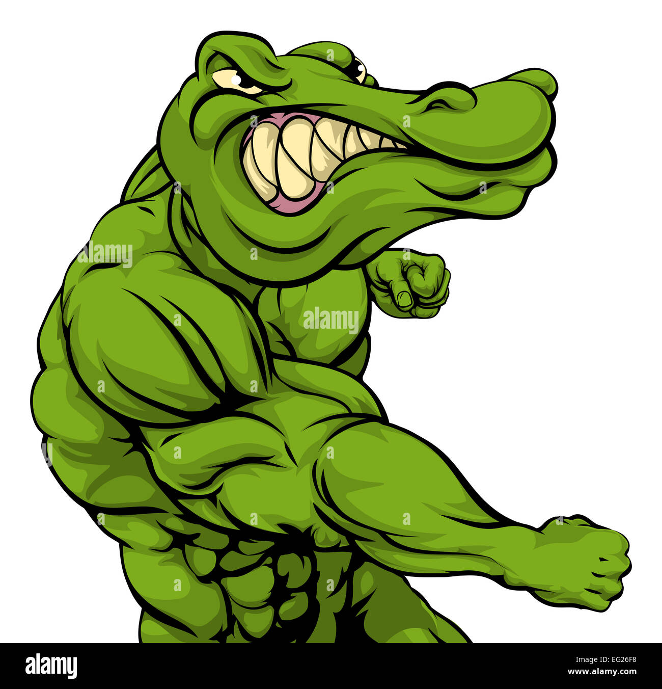 Crocodile alligator cartoon character head hi-res stock photography and  images - Alamy