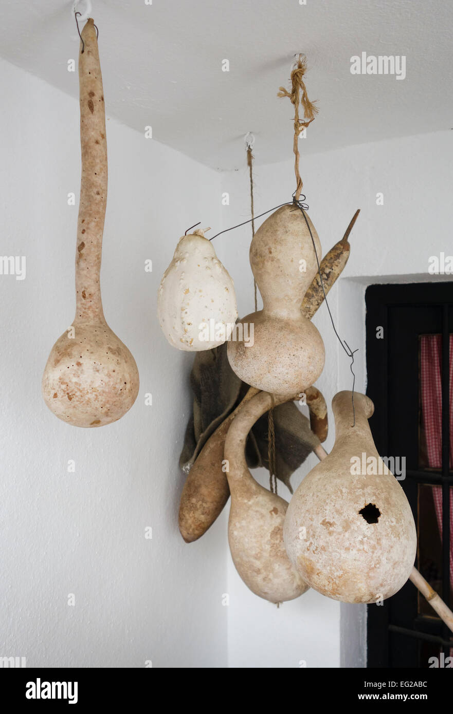 Dried vintage gourds on display at the Ethnological Museum Mijas, Andalusia, Spain. Stock Photo