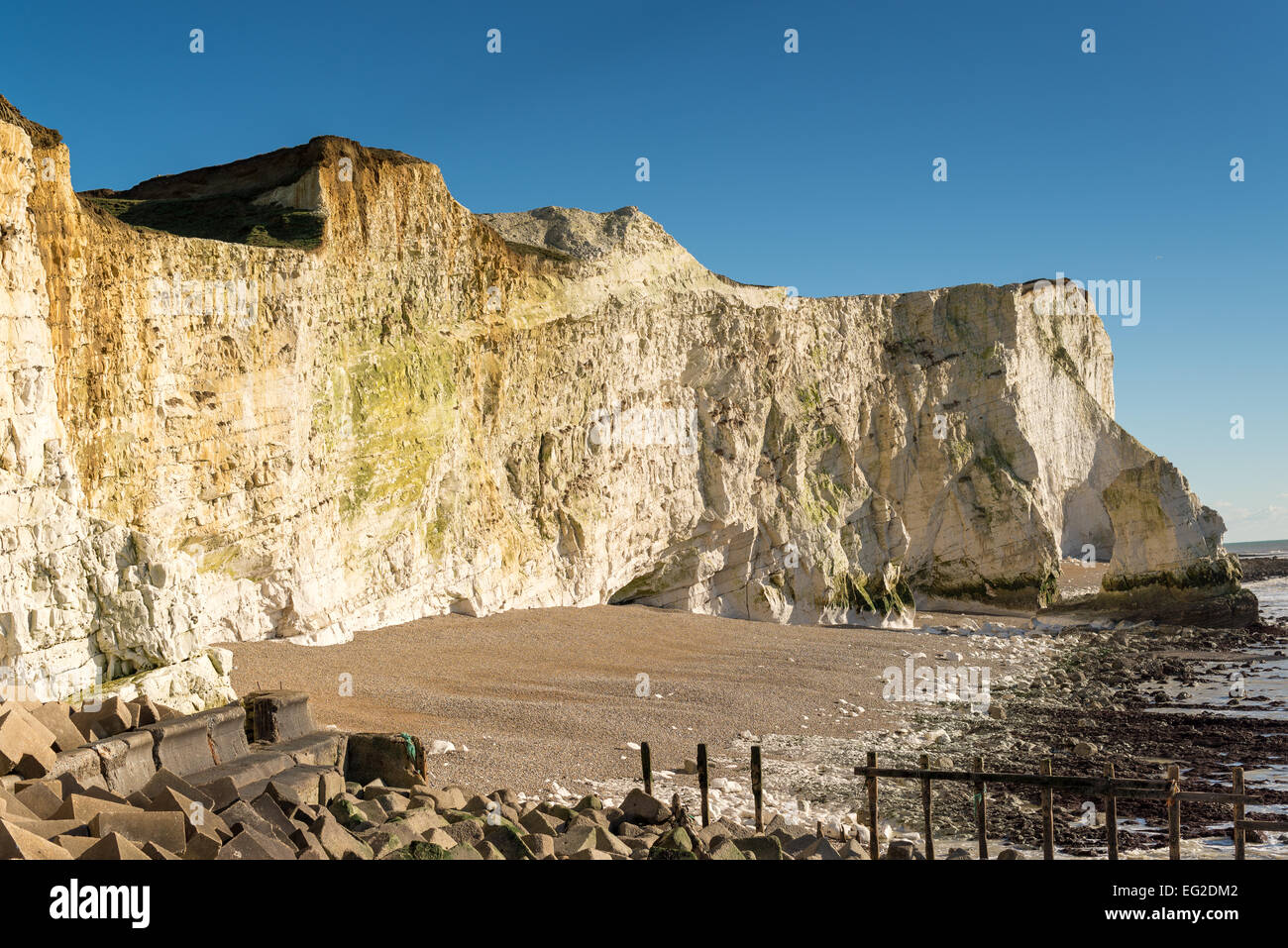 Chalk cliff face at Seaford, East Sussex Stock Photo - Alamy