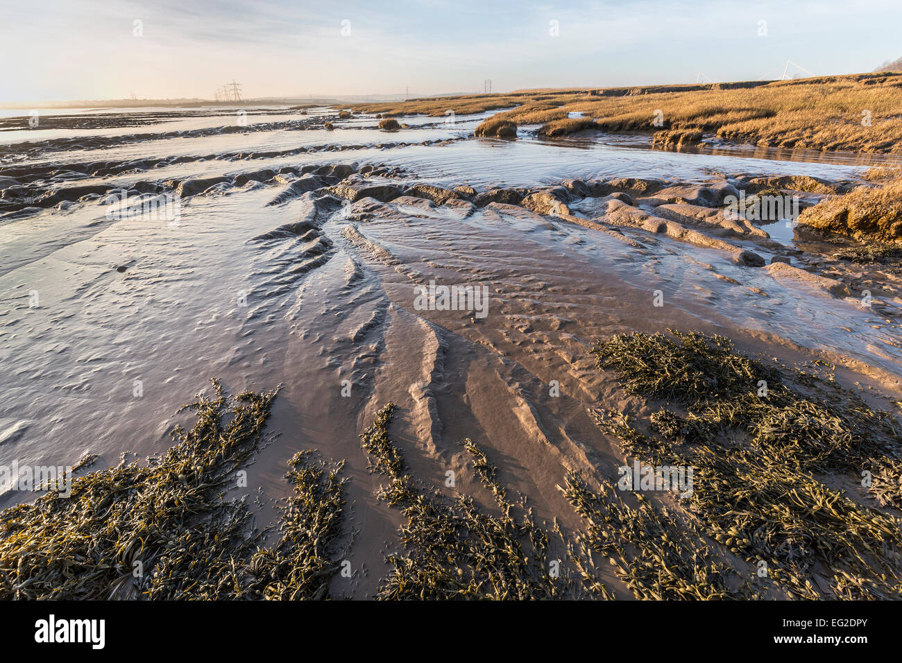 Mud flats and salt marsh at low tide, Beachley Point, River Severn, Gloucestershire, England, UK Stock Photo