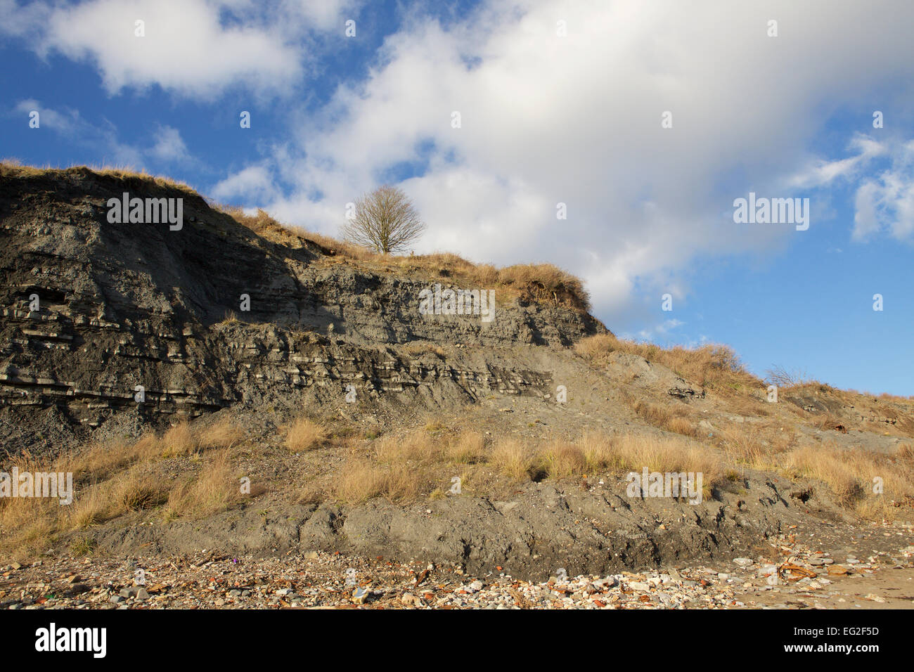 Waterside Rocks Waterside sedimentary rocks hi-res stock photography and images - Alamy