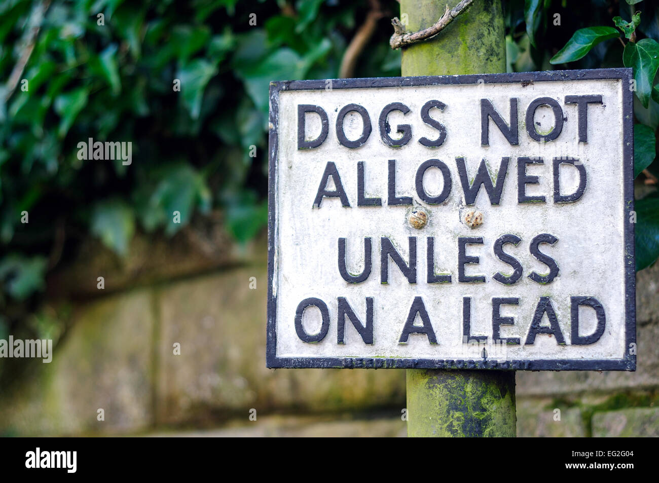 Dogs on lead allowed hires stock photography and images Alamy