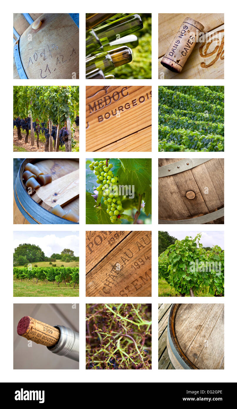 Collage of vineyards an viticulture tools in wineries Stock Photo