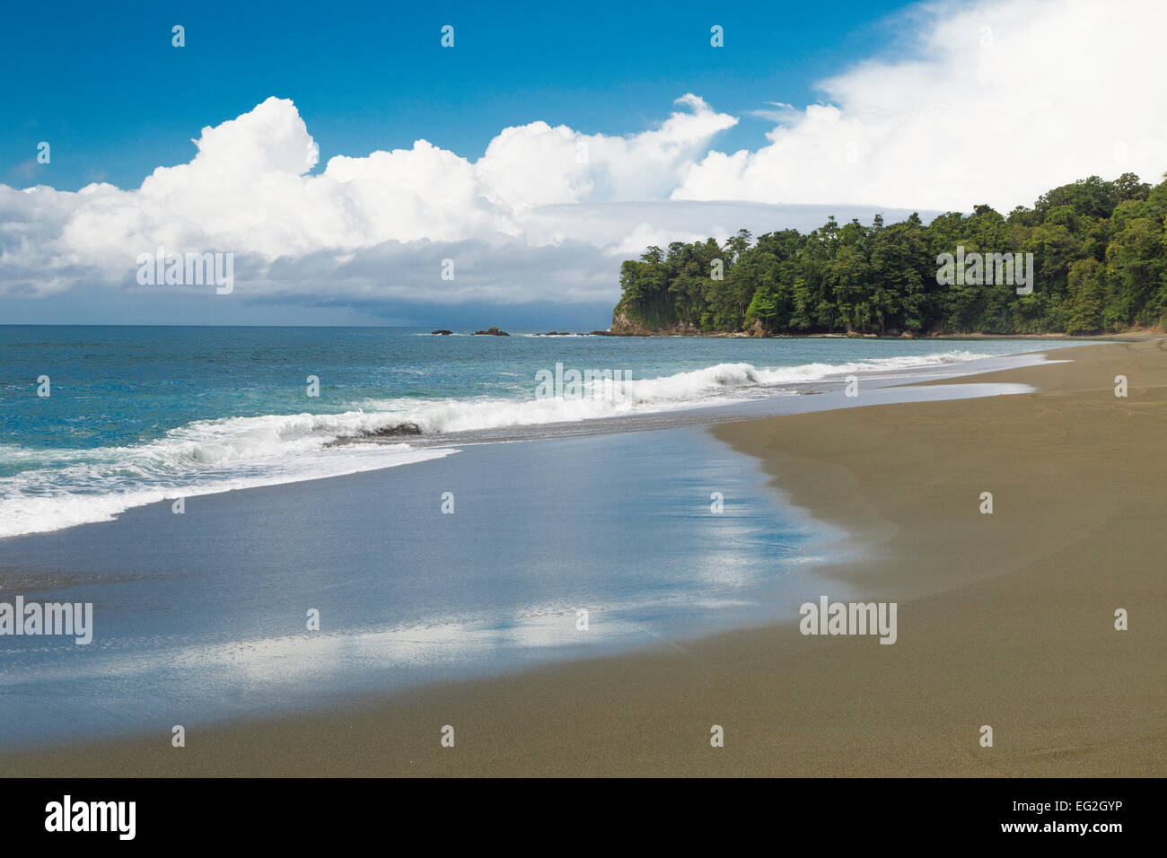 Tripical beach,Corcovado National Park, Osa Peninsula, Costa Rica, Central America Stock Photo