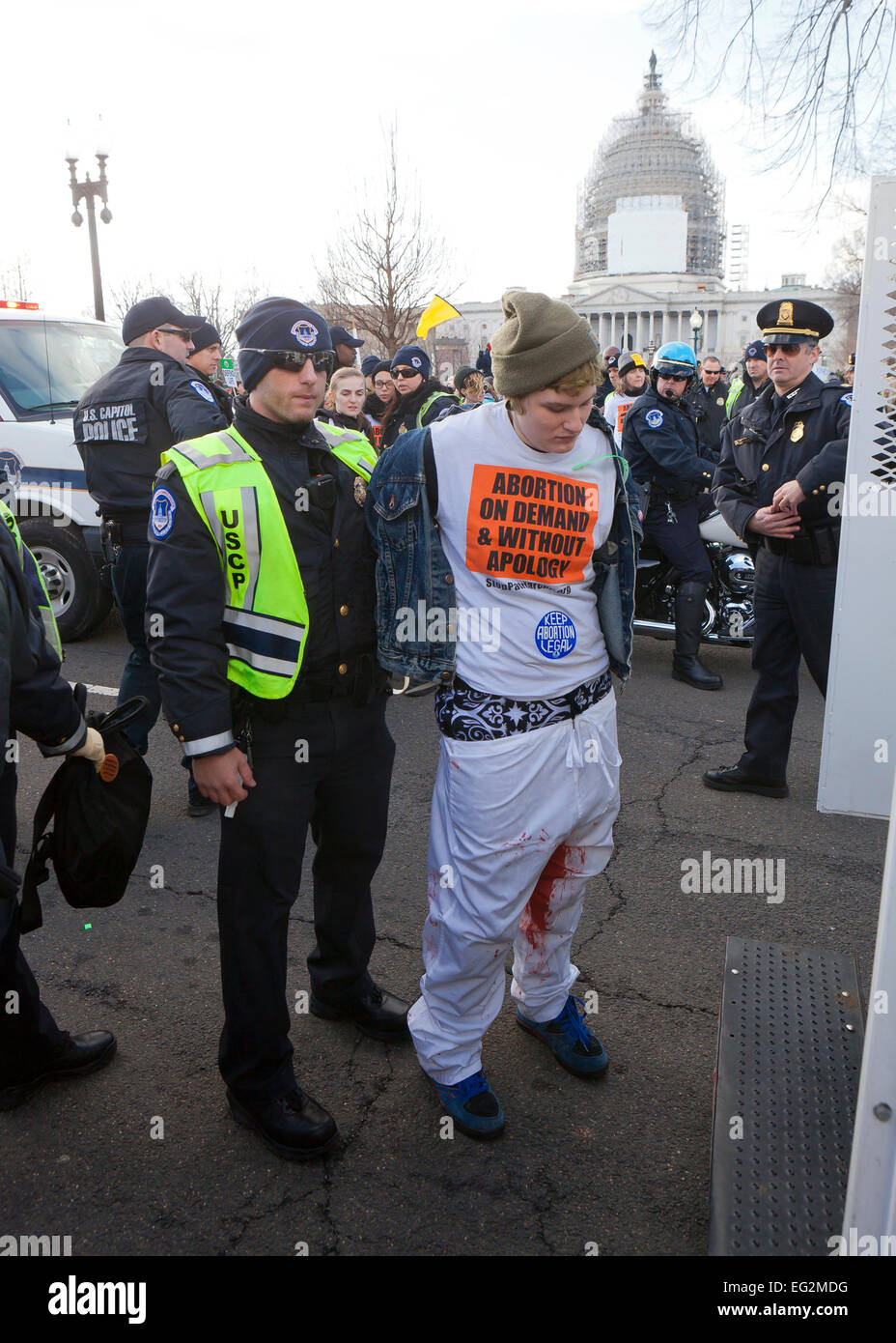 Pro-Choice activist arrested for civil disobedience during Pro-Life march - January 22, 2015, Washington, DC USA Stock Photo