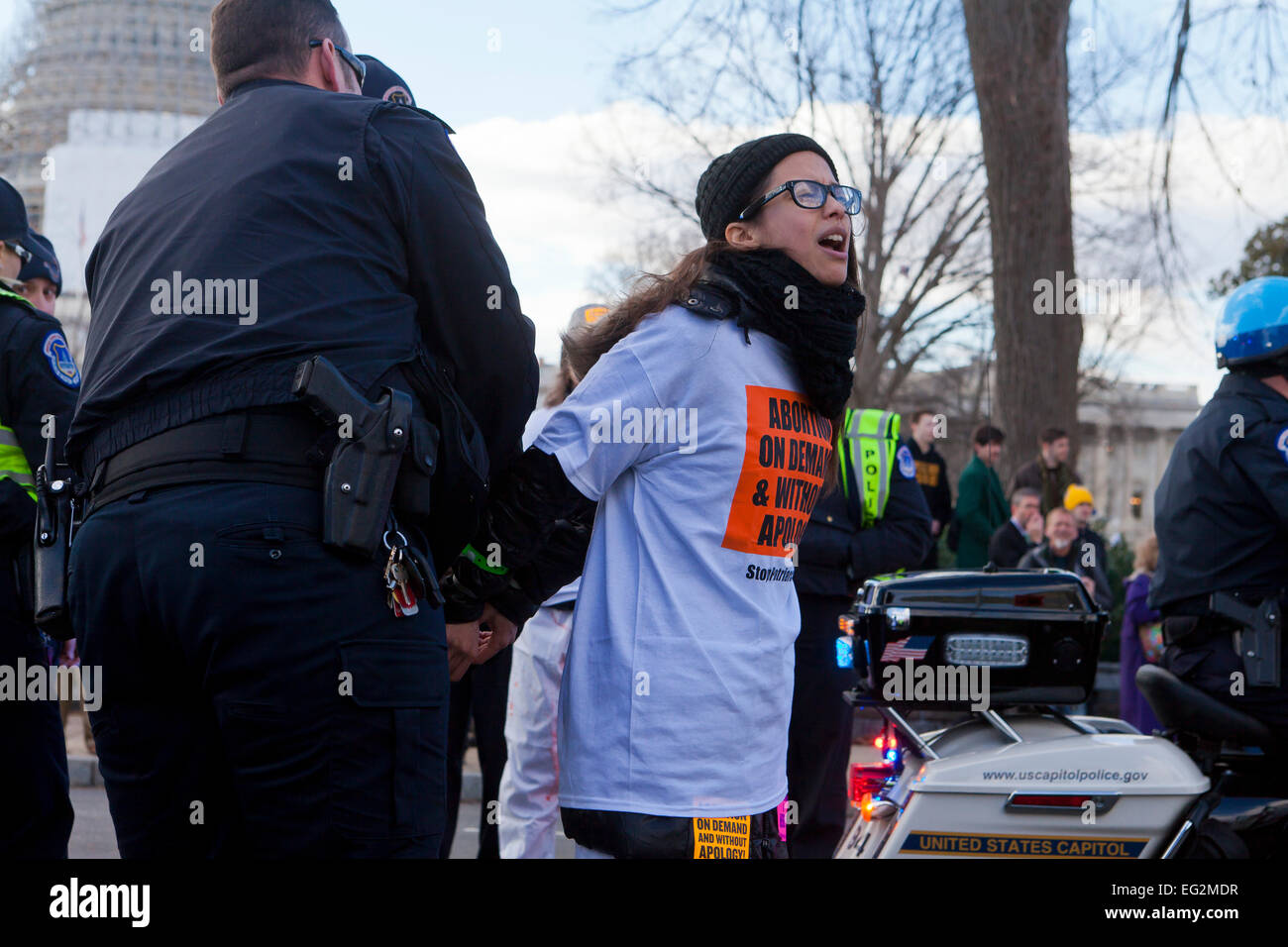 Pro-Choice activist arrested for civil disobedience during Pro-Life march - January 22, 2015, Washington, DC USA Stock Photo