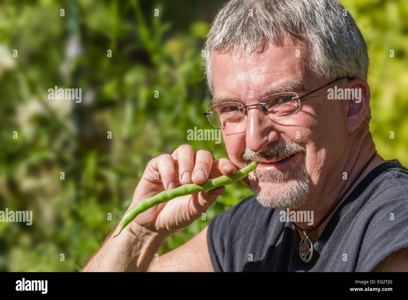 Provider bush beans hires stock photography and images Alamy