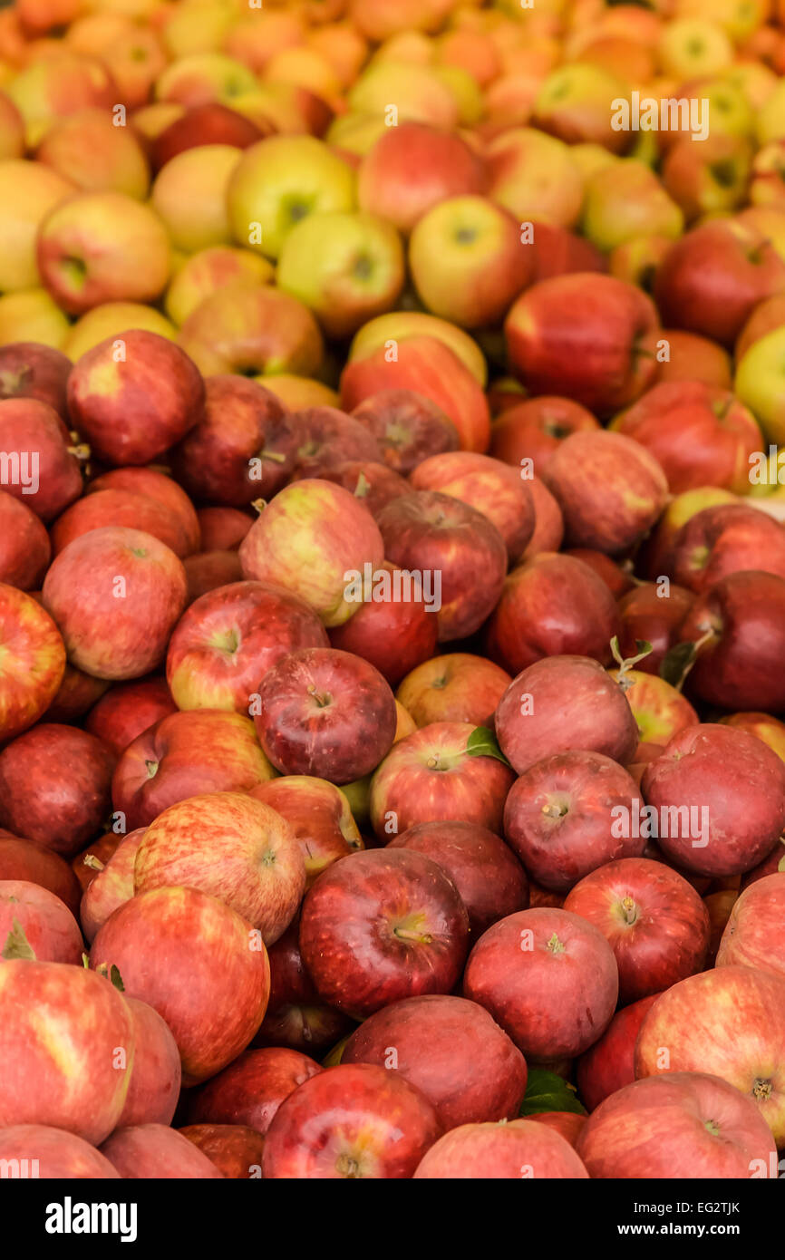 Bins of various varieties of apples for sale in the Kiyokawa Family Orchards near Hood River, Oregon, USA. Stock Photo