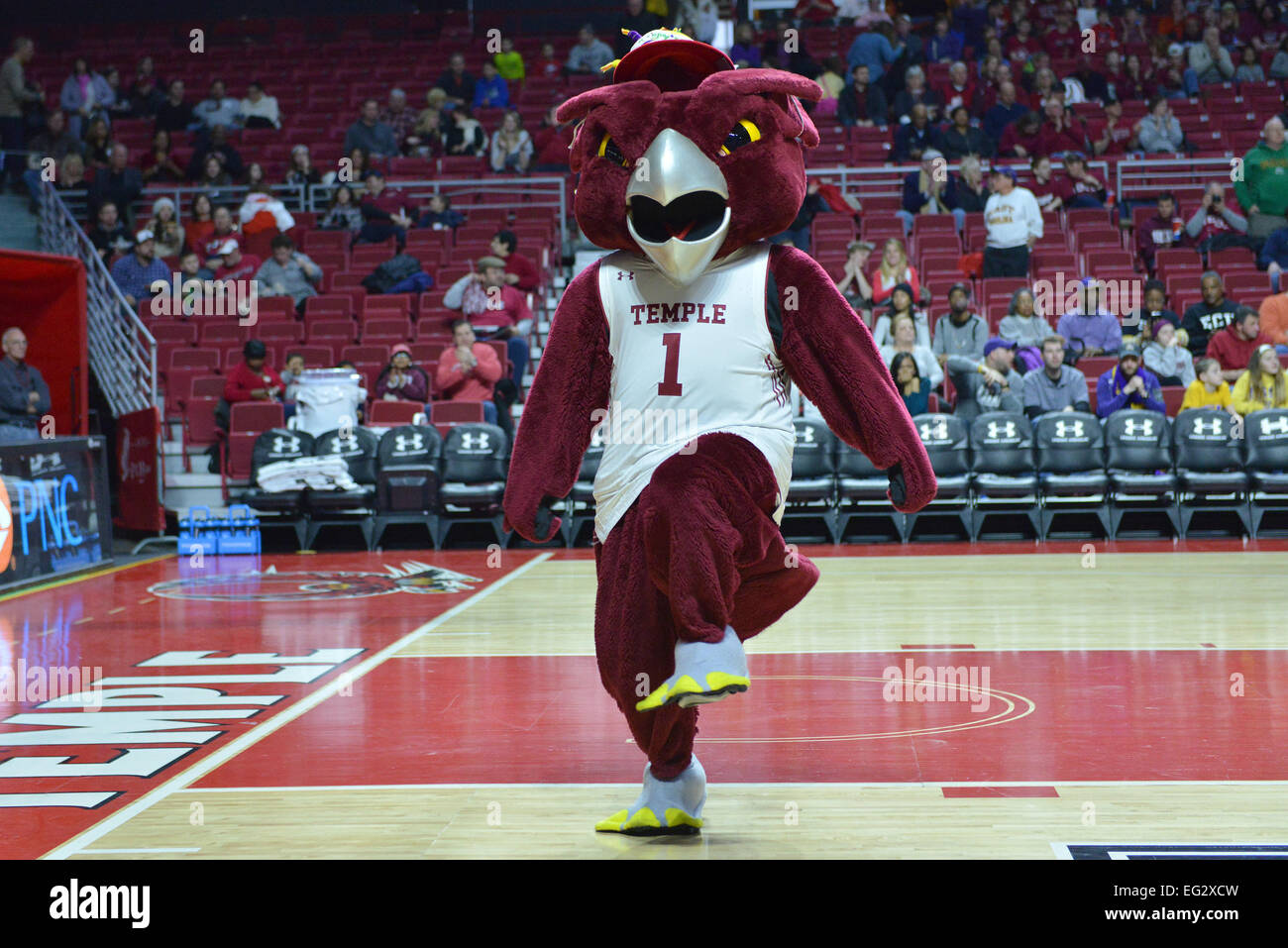 Philadelphia, PA, US. 14th Feb, 2015. HOOTER, the Temple mascot takes the court on his birthday during the basketball game between the ECU Pirates and Temple Owls played at the Liacouras Center in Philadelphia, PA. Temple beat ECU 66-53. Credit:  Ken Inness/ZUMA Wire/Alamy Live News Stock Photo