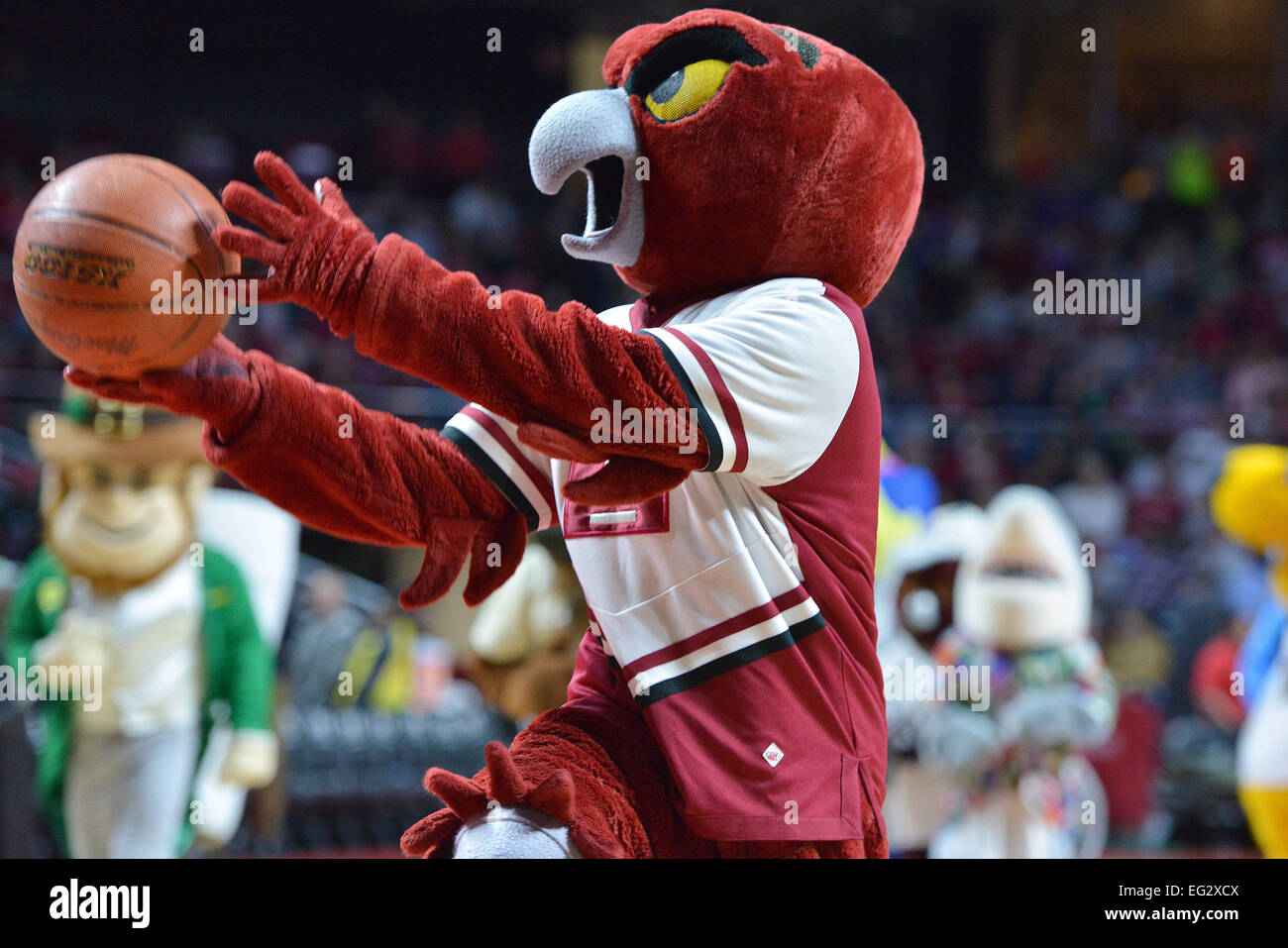 Philadelphia, PA, US. 14th Feb, 2015. A ''throw back'' Temple Owl mascot goes up for a shot in a mascot basketball game during the basketball game between the ECU Pirates and Temple Owls played at the Liacouras Center in Philadelphia, PA. Temple beat ECU 66-53. Credit:  Ken Inness/ZUMA Wire/Alamy Live News Stock Photo