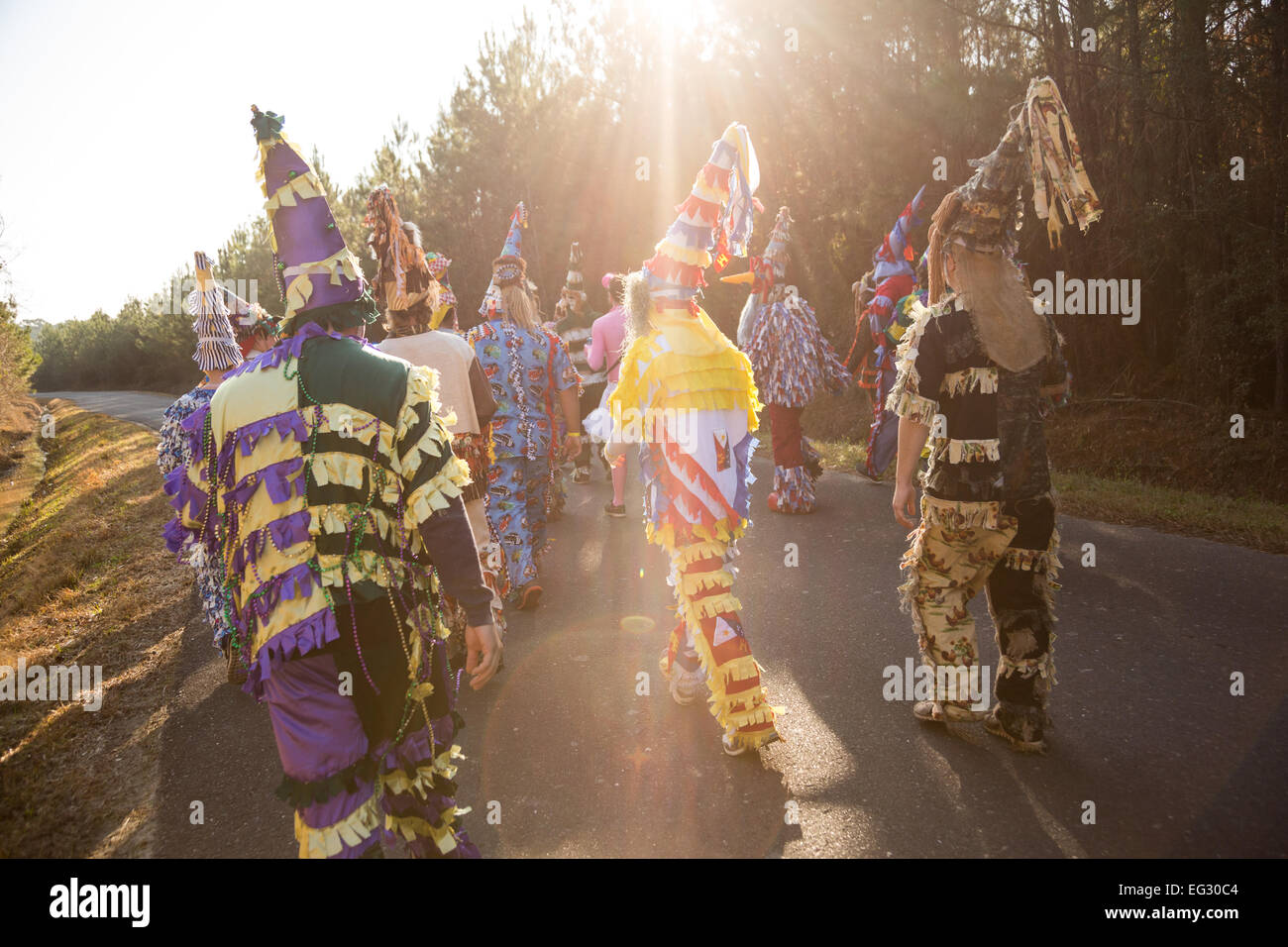 courier de mardi gras costume